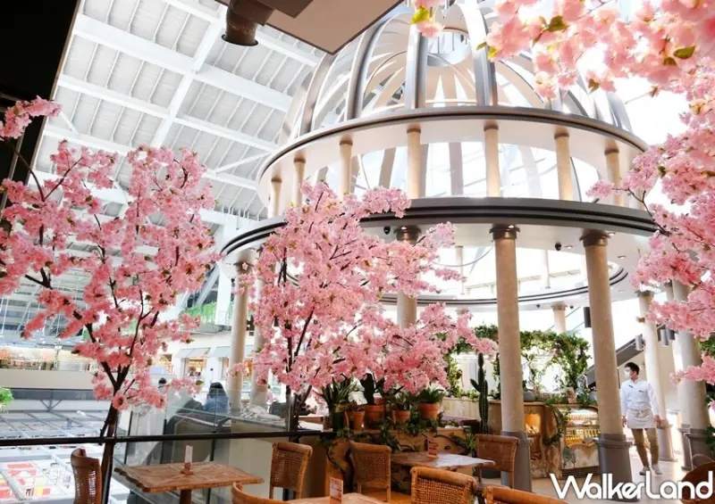 新店京站森林食光/ WalkerLand窩客島整理提供 未經許可不可轉載