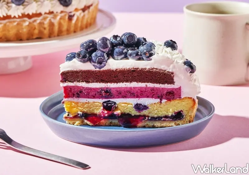 THE NORMAL台北精品咖啡館、Sweet Tooth聯名「藍莓巧克力乳酪塔」 / WalkerLand窩客島整理提供 未經許可不可轉載