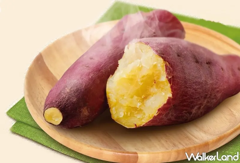 7-ELEVEN / WalkerLand窩客島提供 未經許可，不得轉載