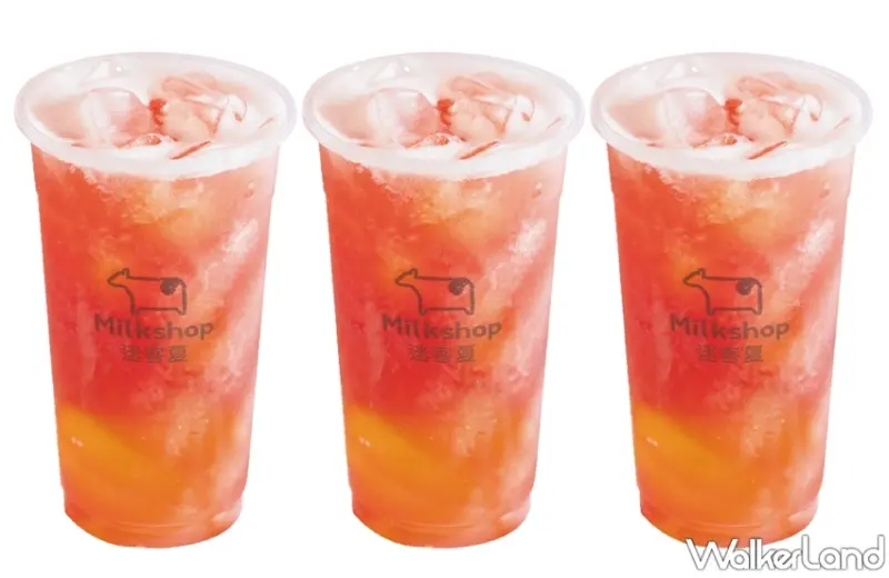 迷客夏 / WalkerLand窩客島提供 未經許可，不得轉載