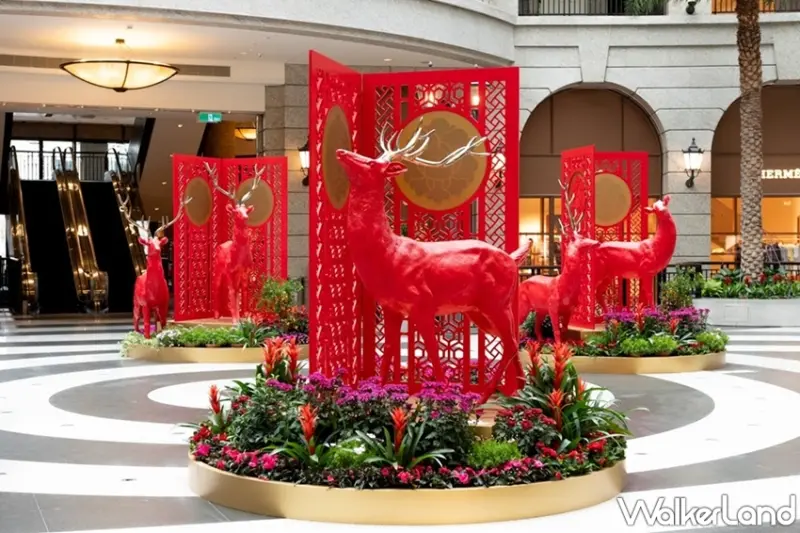 BELLAVITA / WalkerLand窩客島提供 未經許可，不得轉載