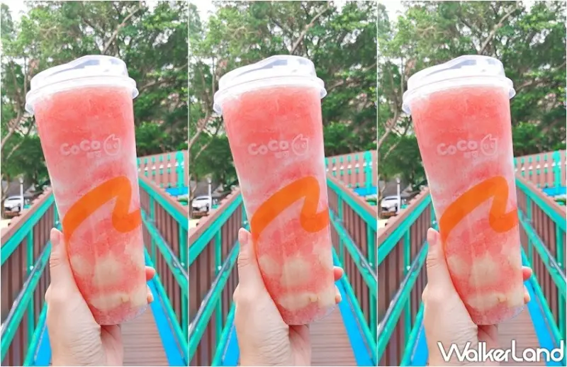 CoCo 櫻花粉荔 / WalkerLand窩客島整理提供 未經許可，不得轉載