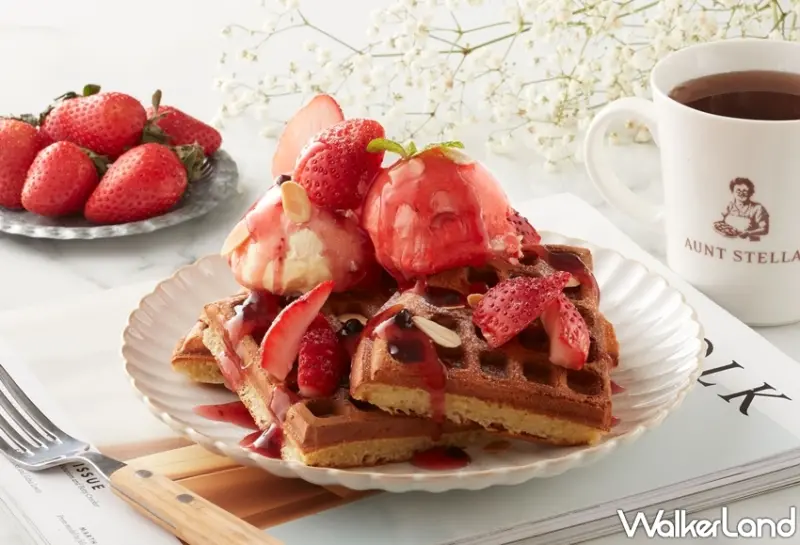 詩特莉Aunt Stella / WalkerLand窩客島提供 未經許可，不得轉載