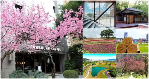 新北人、台北人就是不想出城！雙北最新、最夯「27個免費打卡景點」懶人包，同場加映「雙北17個夜櫻、櫻花隧道」讓你整個年假都待在台北當天龍人。