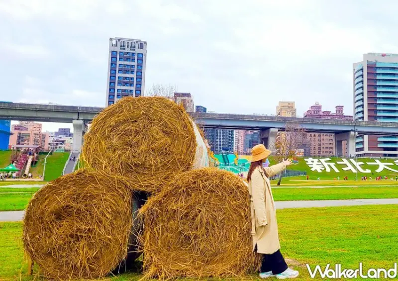新北大都會公園 / WalkerLand窩客島整理提供 未經許可不可轉載