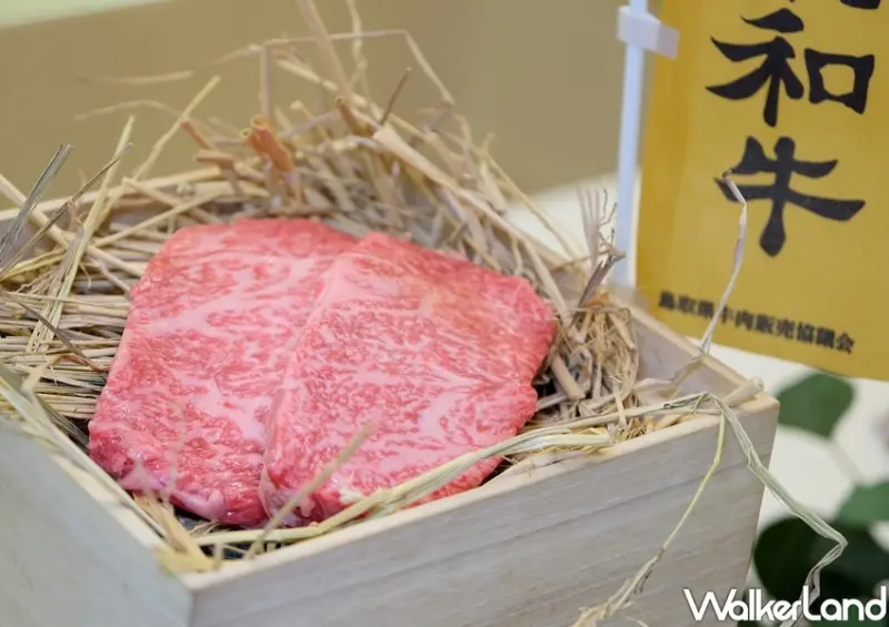 巴黎廳1930 x高山英紀 / WalkerLand窩客島整理提供 未經許可不可轉載