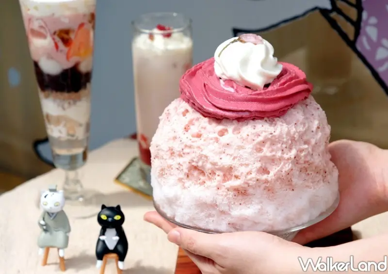 金雞母 X 貓小姐Ms.Cat 春日櫻之旅快閃店 / WalkerLand窩客島整理提供 未經許可不可轉載