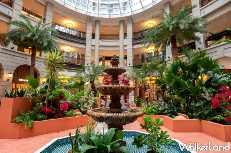 BELLAVITA / WalkerLand窩客島提供 未經許可，不得轉載