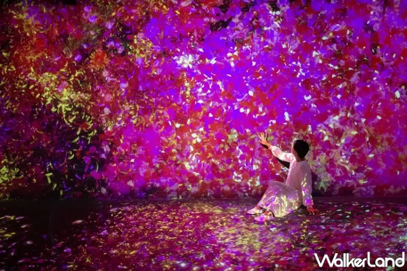 teamLab / WalkerLand窩客島整理提供 未經許可，不得轉載