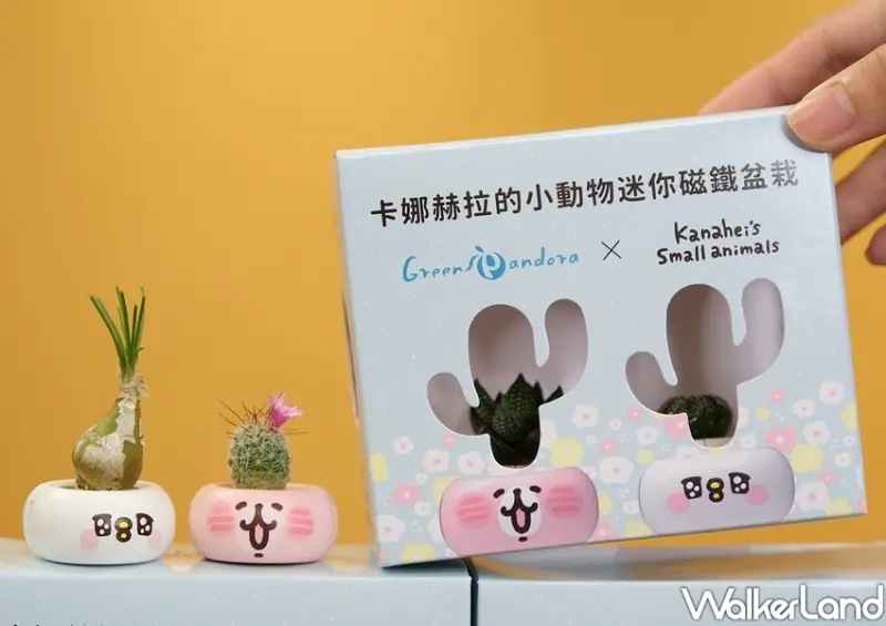 卡娜赫拉的小動物迷你磁鐵盆栽 / WalkerLand窩客島整理提供 未經許可不可轉載