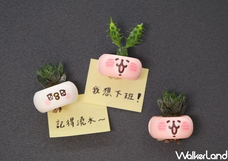 卡娜赫拉的小動物迷你磁鐵盆栽 / WalkerLand窩客島整理提供 未經許可不可轉載