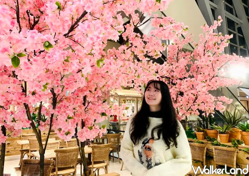 新店京站森林食光/ WalkerLand窩客島整理提供 未經許可不可轉載