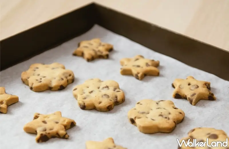 Aunt Stella詩特莉 / WalkerLand窩客島提供 未經許可，不得轉載