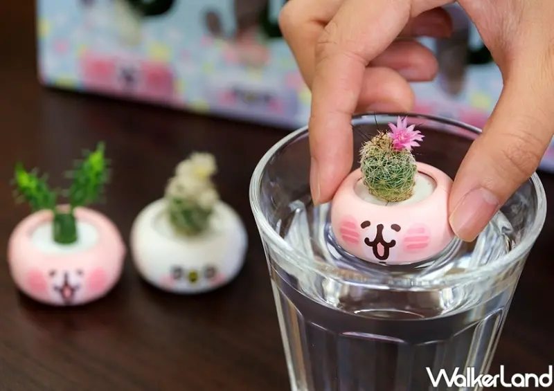 卡娜赫拉的小動物迷你磁鐵盆栽 / WalkerLand窩客島整理提供 未經許可不可轉載