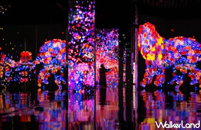teamLab / WalkerLand窩客島整理提供 未經許可，不得轉載