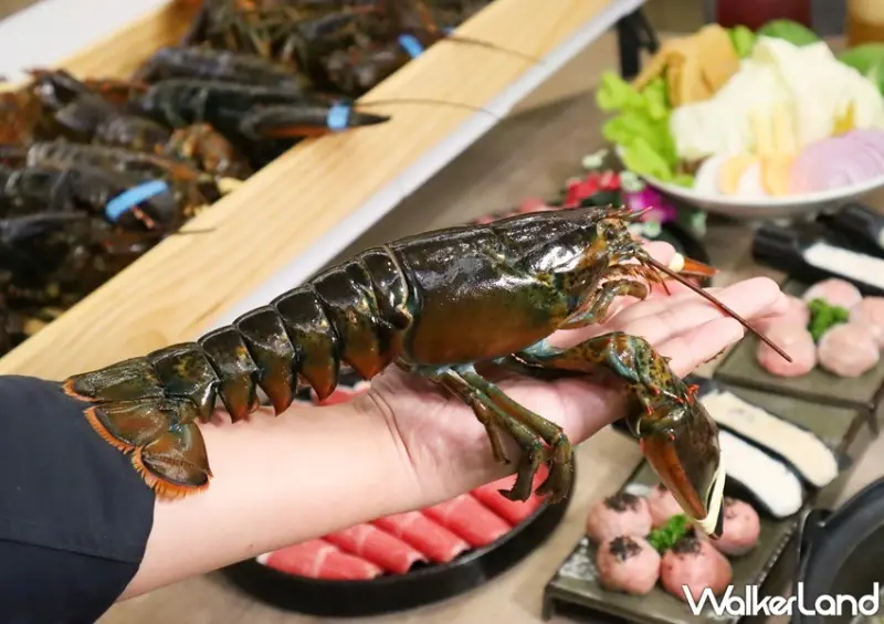 深紅汕頭鍋物 台北民權店 / WalkerLand窩客島提供 未經許可，不得轉載