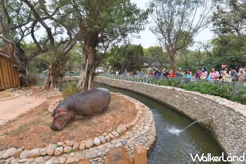 新竹立動物園 / WalkerLand窩客島提供 未經許可，不得轉載
