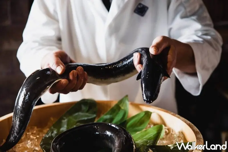 千壽 / WalkerLand窩客島提供 未經許可，不得轉載