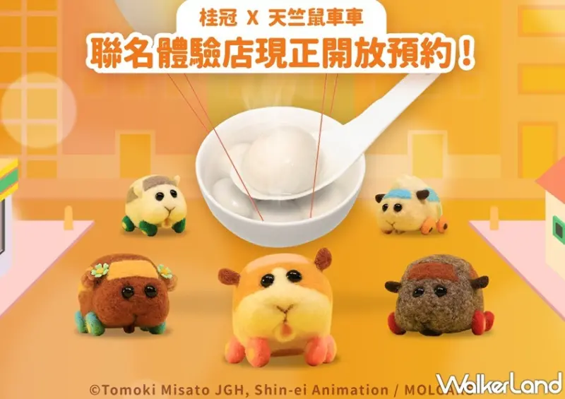 桂冠 x 天竺鼠車車  聯名體驗店 / WalkerLand窩客島整理提供 未經許可，不得轉載