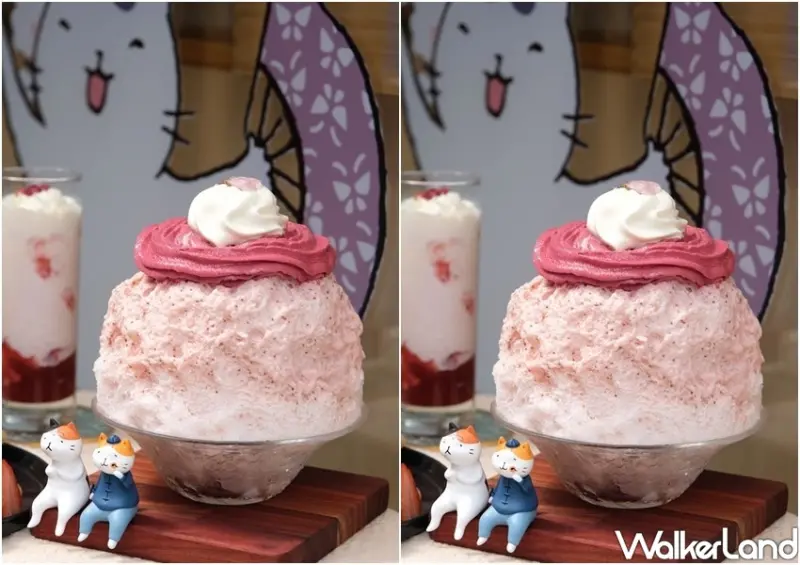 金雞母 X 貓小姐Ms.Cat 春日櫻之旅快閃店 / WalkerLand窩客島整理提供 未經許可不可轉載