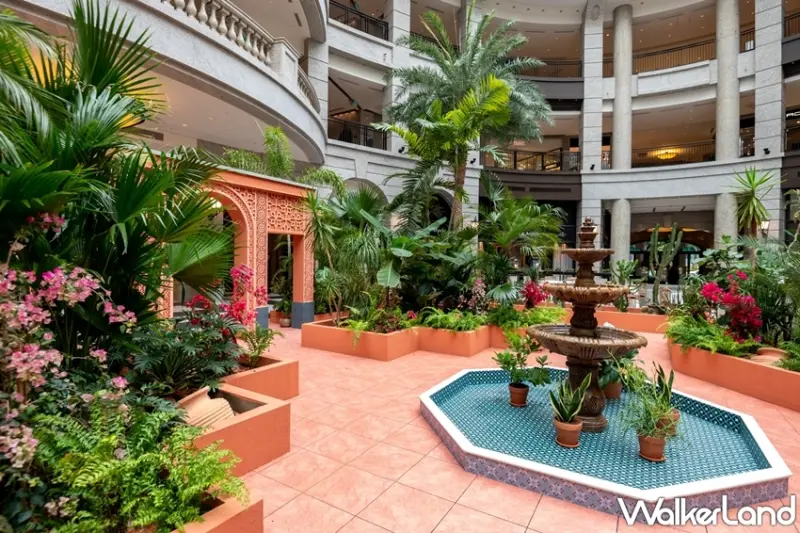 BELLAVITA / WalkerLand窩客島提供 未經許可，不得轉載