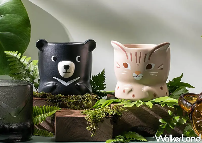 星巴克集點、石虎肉球杯/ WalkerLand窩客島整理提供 未經許可不可轉載