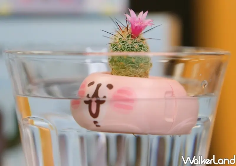 卡娜赫拉的小動物迷你磁鐵盆栽 / WalkerLand窩客島整理提供 未經許可不可轉載