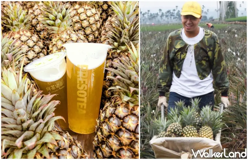 7間鳳梨手搖杯 / WalkerLand窩客島整理提供 未經許可，不得轉載