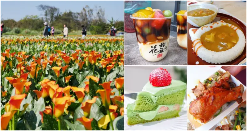 桃園彩芋季今年不取消了！近5公頃、6萬株「彩色海芋季」強勢回歸，桃園大園一日遊加碼推薦「5間大園美食」。