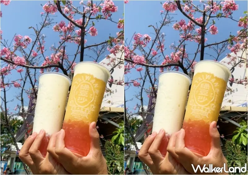 清水茶香 新品「春櫻綻放」系列 / WalkerLand窩客島整理提供 未經許可，不得轉載