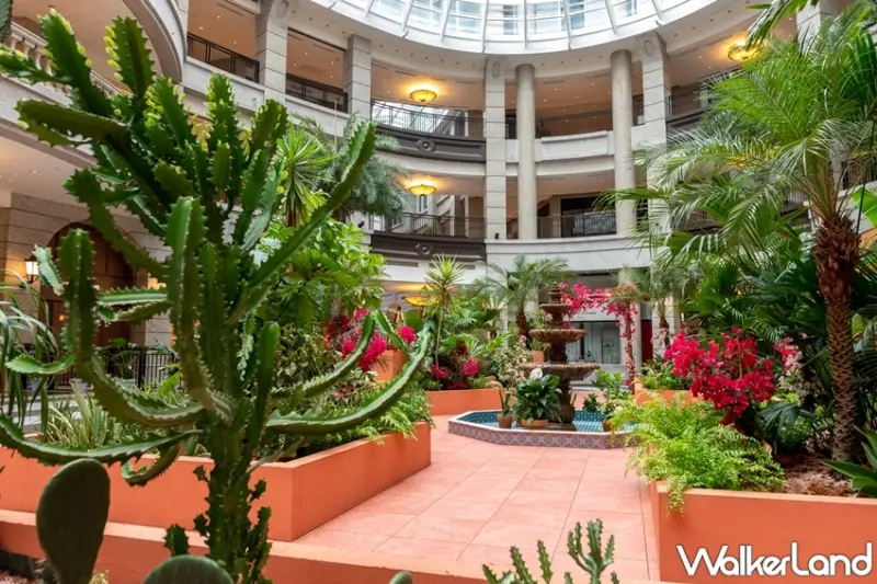 BELLAVITA / WalkerLand窩客島提供 未經許可，不得轉載