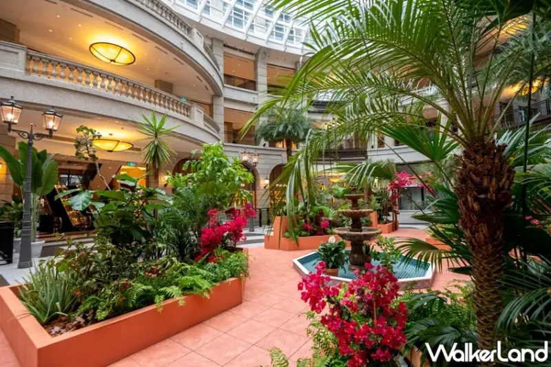 -BELLAVITA / WalkerLand窩客島提供 未經許可，不得轉載