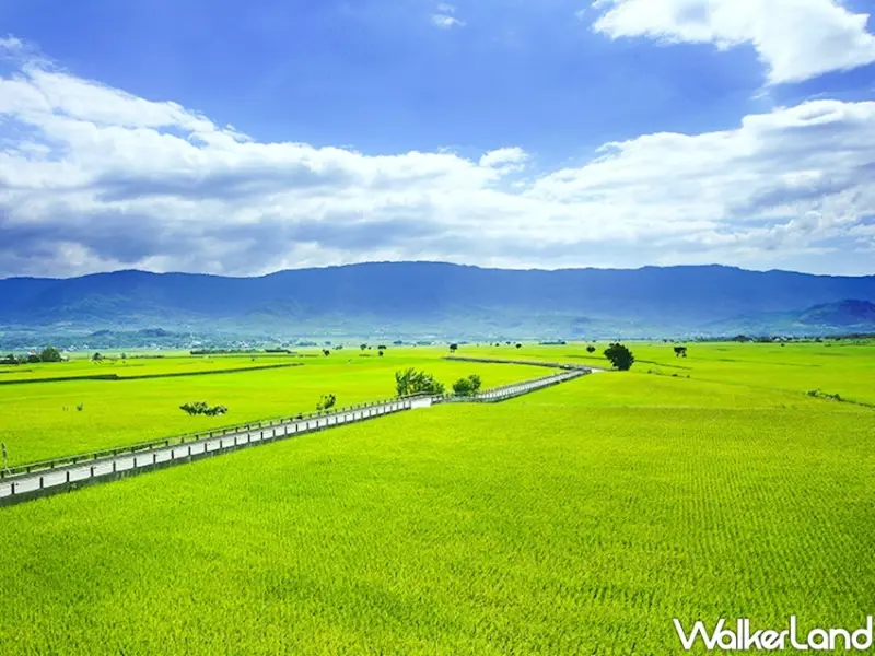 易遊網「星宇航空X環島之星˙雙星假期 漫遊台東」 / WalkerLand窩客島整理提供 未經許可不可轉載