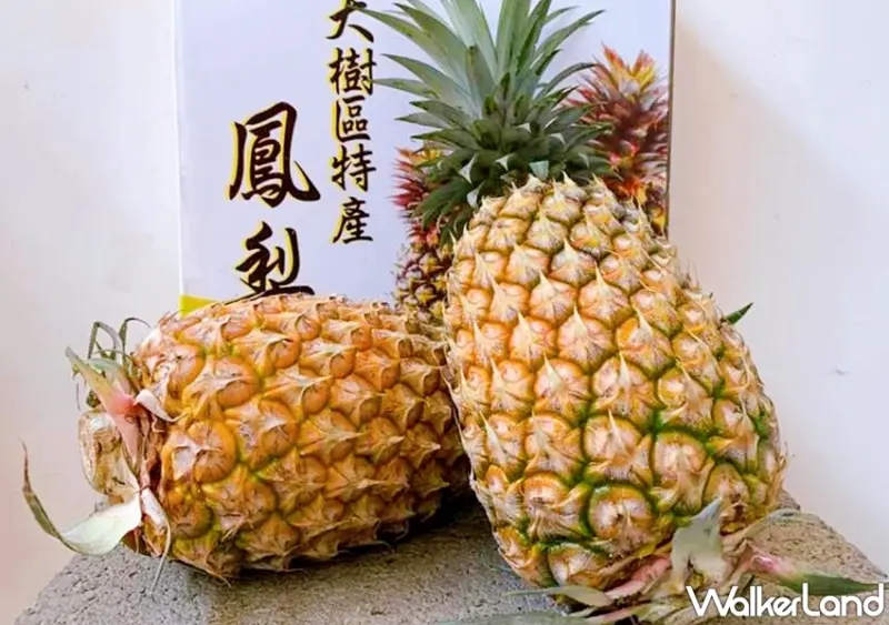 超商鳳梨 / WalkerLand窩客島提供 未經許可，不得轉載
