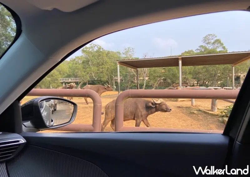 2021兒童節遊樂園優惠 / WalkerLand窩客島整理提供 未經許可，不得轉載