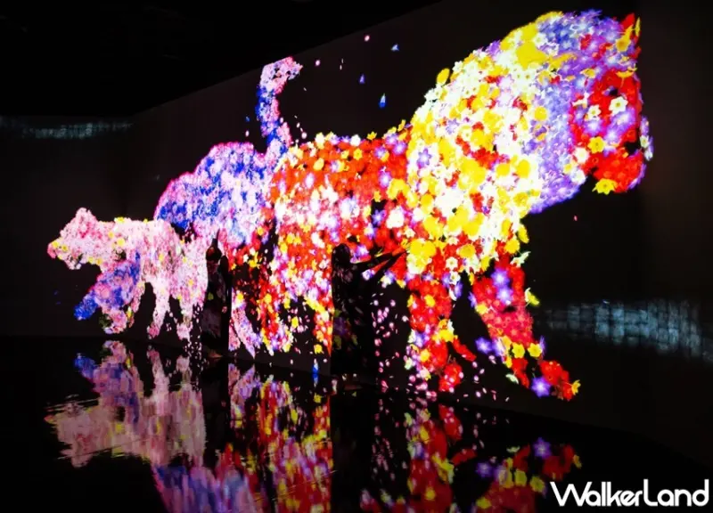 teamLab / WalkerLand窩客島整理提供 未經許可，不得轉載