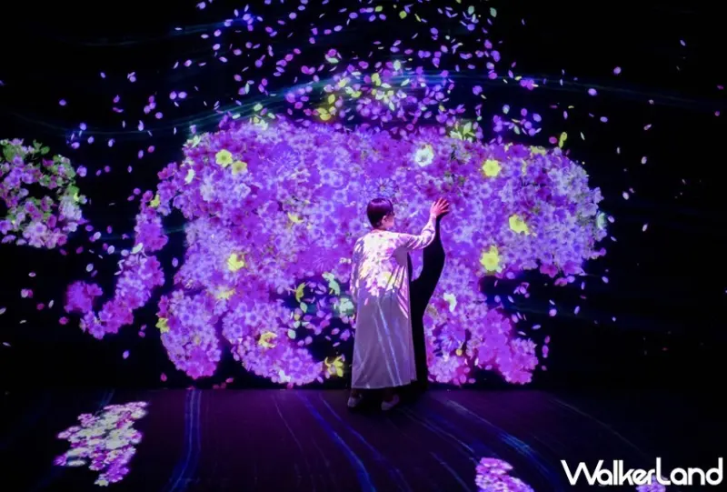teamLab / WalkerLand窩客島整理提供 未經許可，不得轉載