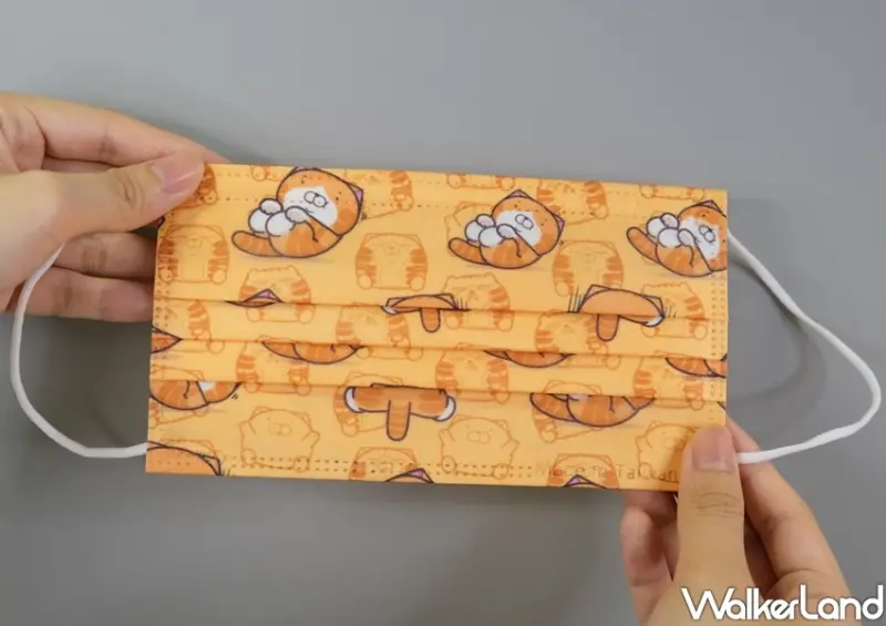 白爛貓醫療口罩系列 / WalkerLand窩客島整理提供 未經許可不可轉載