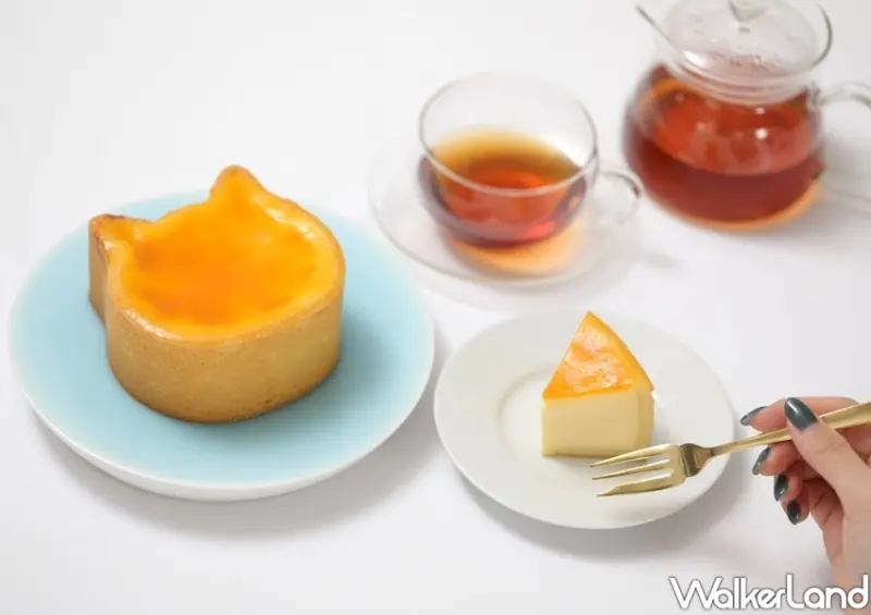 貓貓起司蛋糕專賣店NEKO NEKO CHEESECAKE / WalkerLand窩客島整理提供 未經許可不可轉載