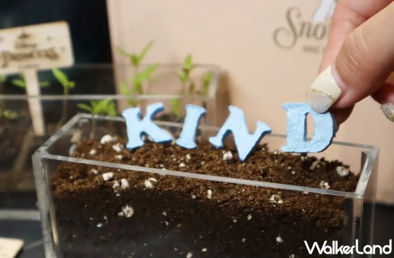 HOLA x 迪士尼公主與反派系列聯名商品 / WalkerLand窩客島整理提供 未經許可，不得轉載