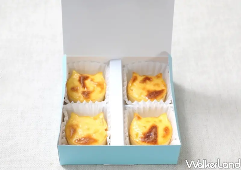 貓貓起司蛋糕專賣店NEKO NEKO CHEESECAKE / WalkerLand窩客島整理提供 未經許可不可轉載