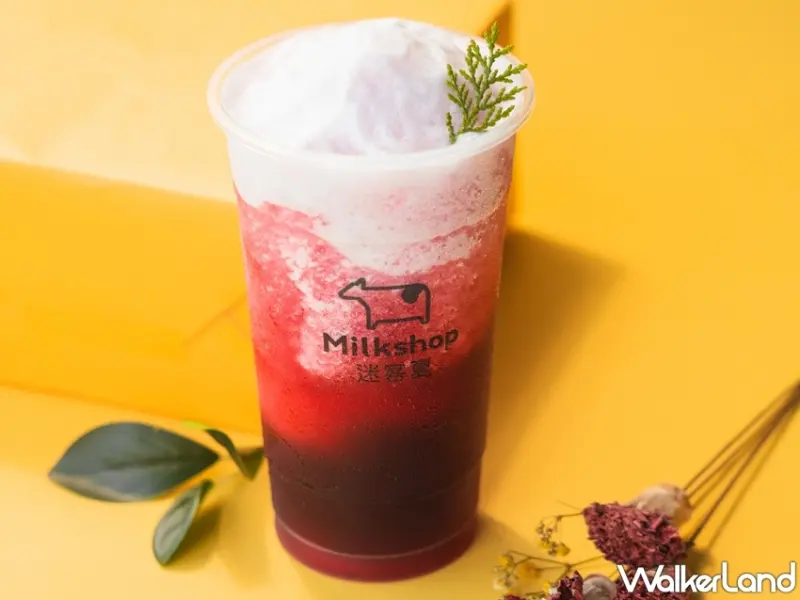 迷客夏 / WalkerLand窩客島提供 未經許可，不得轉載