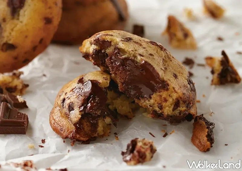 Aunt Stella 詩特莉 / WalkerLand窩客島提供 未經許可，不得轉載