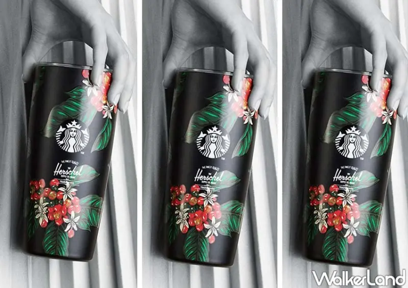 星巴克聯名杯/ WalkerLand窩客島整理提供 未經許可不可轉載
