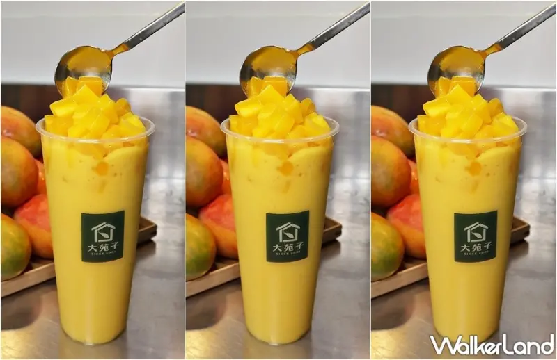 大苑子 芒果Double系列 / WalkerLand窩客島提供 未經許可，不得轉載