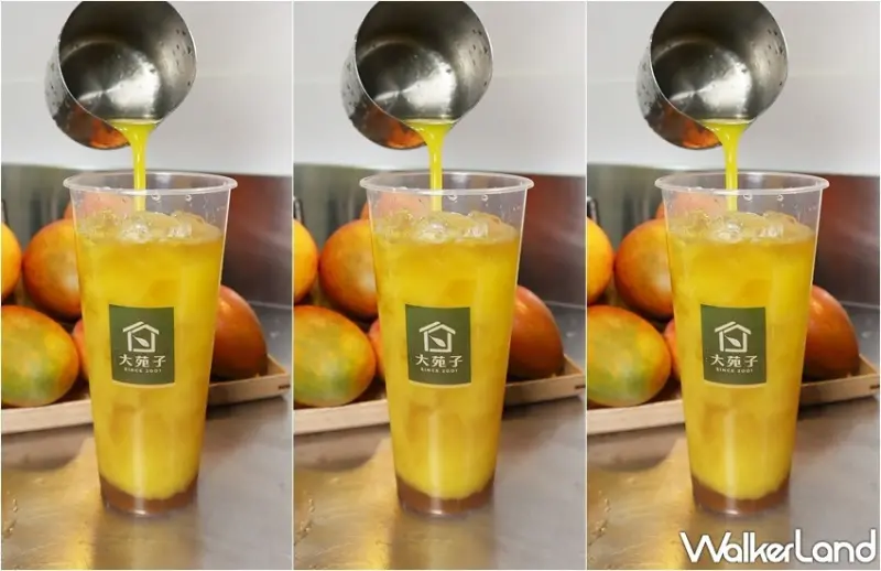 大苑子 芒果Double系列 / WalkerLand窩客島提供 未經許可，不得轉載