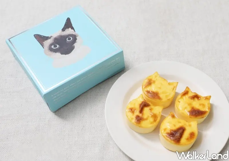 貓貓起司蛋糕專賣店NEKO NEKO CHEESECAKE / WalkerLand窩客島整理提供 未經許可不可轉載