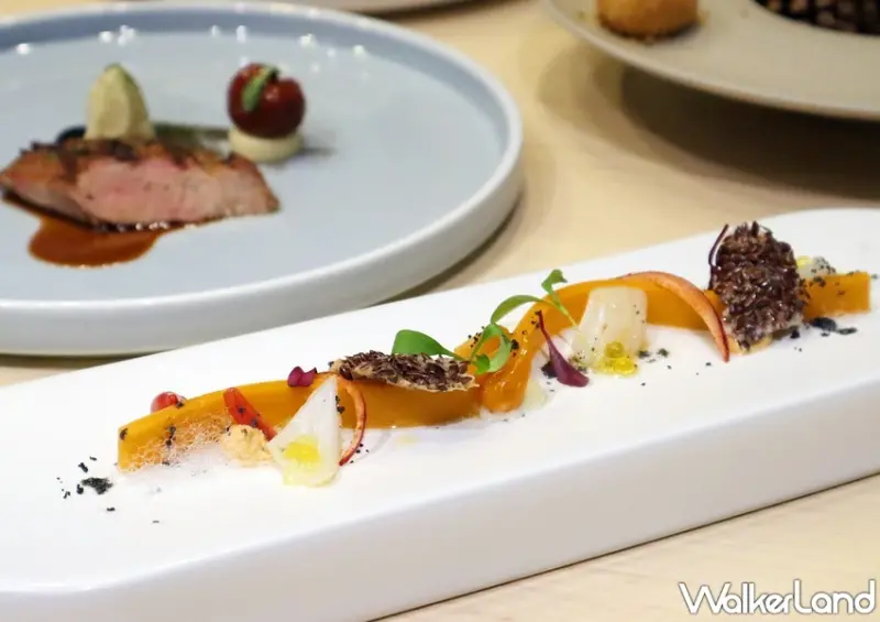 DNA西班牙料理 / WalkerLand窩客島提供 未經許可，不得轉載