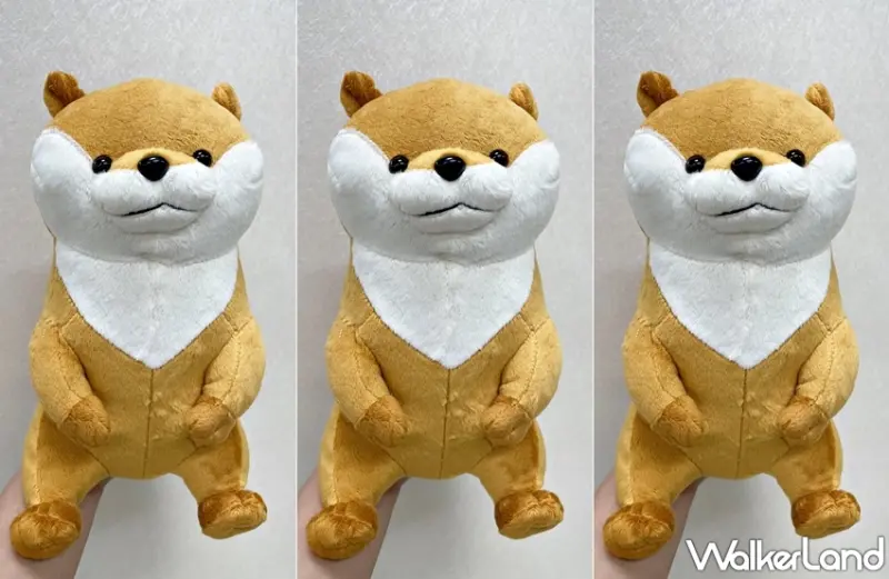 萊爾富 / WalkerLand窩客島提供 未經許可，不得轉載