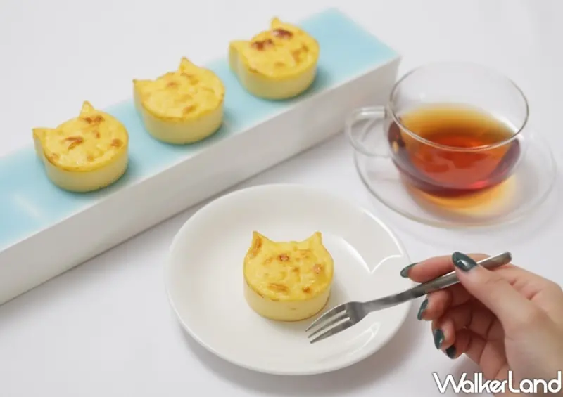 貓貓起司蛋糕專賣店NEKO NEKO CHEESECAKE / WalkerLand窩客島整理提供 未經許可不可轉載